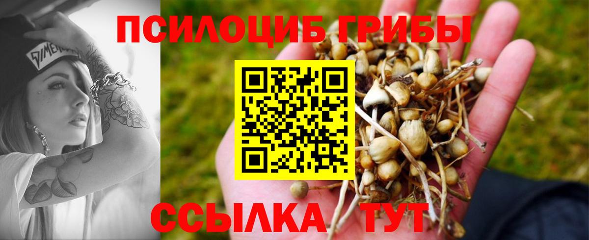 Псилоцибиновые грибы Magic Shrooms  Вход с VPN  Новосибирск 